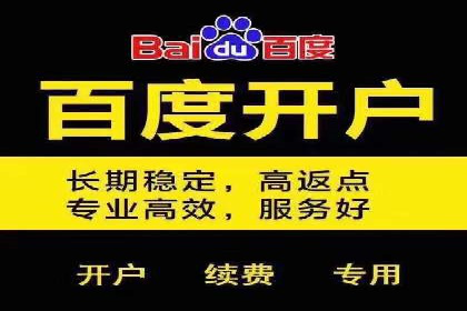 百度竞价广告投放的实战经验与案例分析